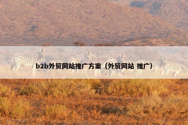 b2b外贸网站推广方案（外贸网站 推广）