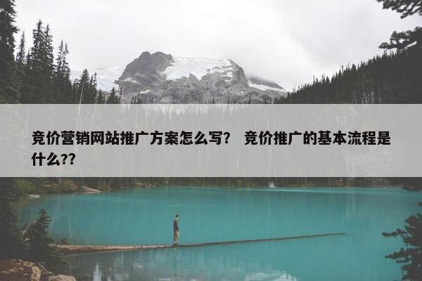 竞价营销网站推广方案怎么写？ 竞价推广的基本流程是什么?？