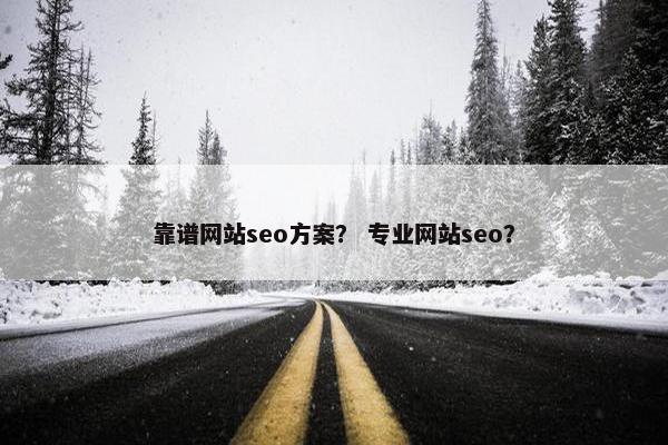 靠谱网站seo方案？ 专业网站seo？