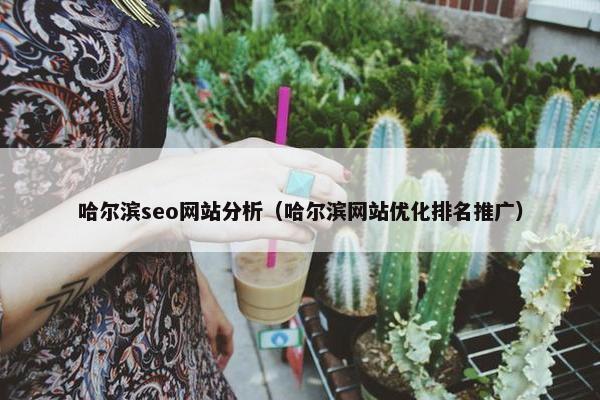 哈尔滨seo网站分析（哈尔滨网站优化排名推广）