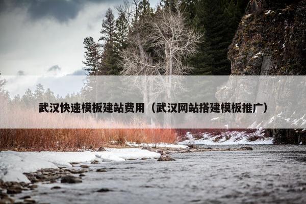 武汉快速模板建站费用（武汉网站搭建模板推广）