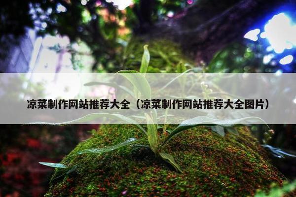 凉菜制作网站推荐大全（凉菜制作网站推荐大全图片）