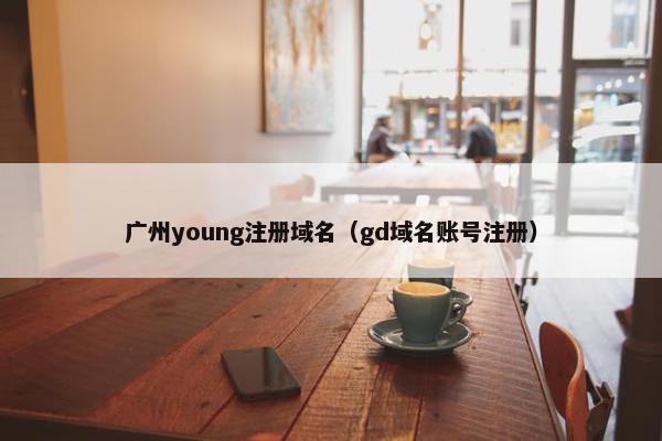 广州young注册域名（gd域名账号注册）