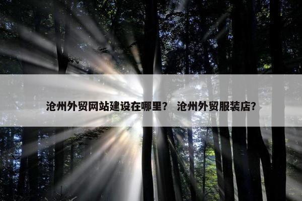 沧州外贸网站建设在哪里？ 沧州外贸服装店？