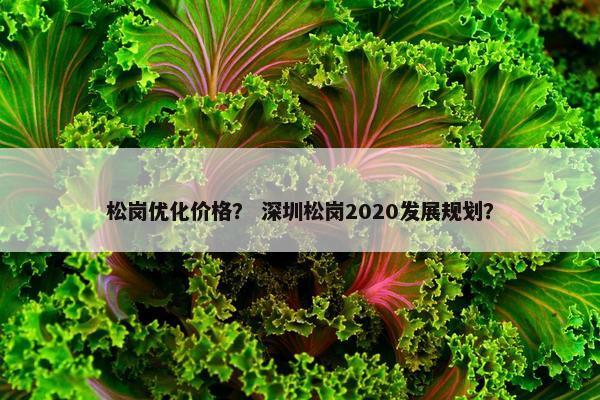 松岗优化价格？ 深圳松岗2020发展规划？