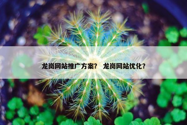 龙岗网站推广方案？ 龙岗网站优化？