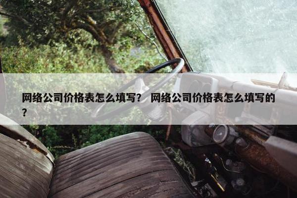 网络公司价格表怎么填写？ 网络公司价格表怎么填写的？