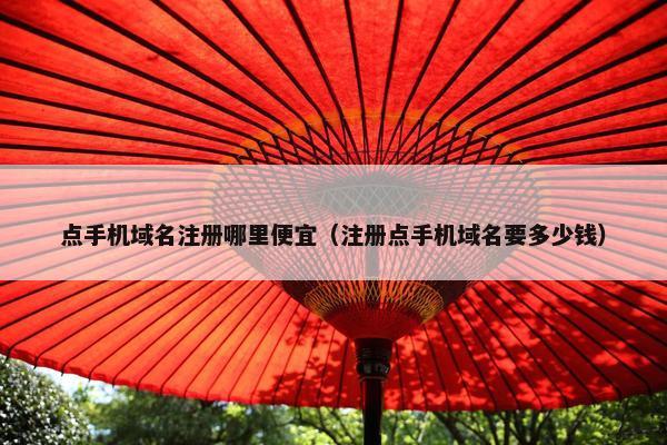 点手机域名注册哪里便宜（注册点手机域名要多少钱）