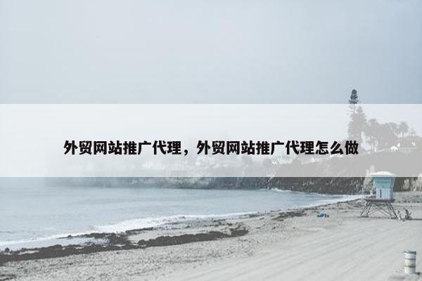 外贸网站推广代理，外贸网站推广代理怎么做