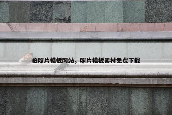 拍照片模板网站，照片模板素材免费下载