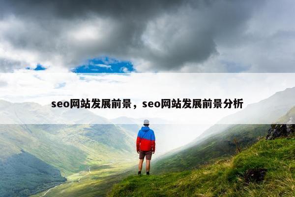 seo网站发展前景，seo网站发展前景分析