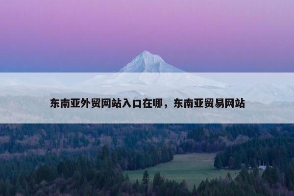 东南亚外贸网站入口在哪，东南亚贸易网站