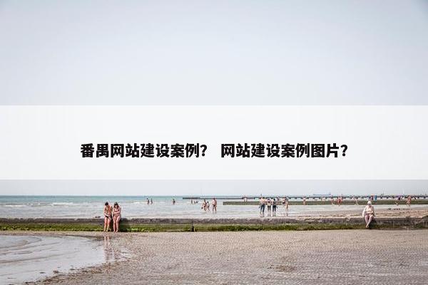 番禺网站建设案例？ 网站建设案例图片？