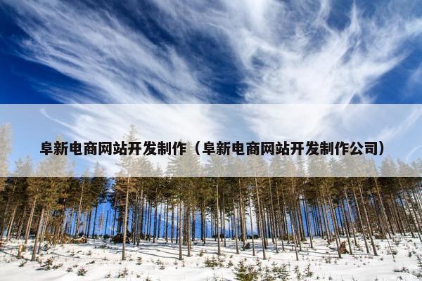 阜新电商网站开发制作（阜新电商网站开发制作公司）