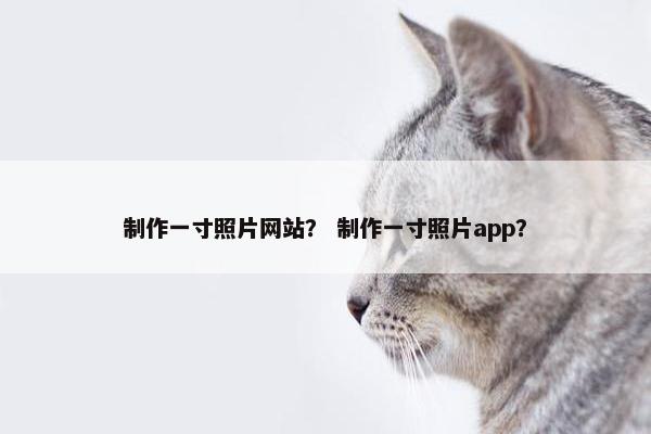 制作一寸照片网站？ 制作一寸照片app？