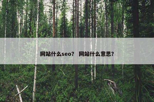 网站什么seo？ 网站什么意思？