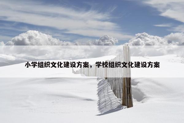 小学组织文化建设方案，学校组织文化建设方案