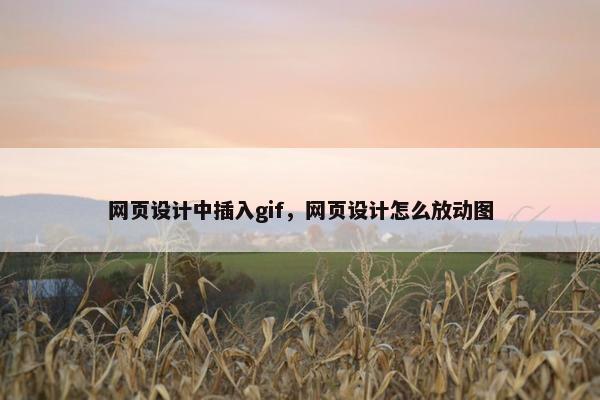 网页设计中插入gif，网页设计怎么放动图