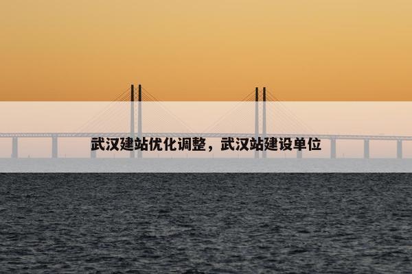 武汉建站优化调整，武汉站建设单位