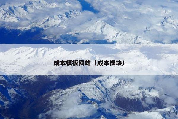 成本模板网站（成本模块）