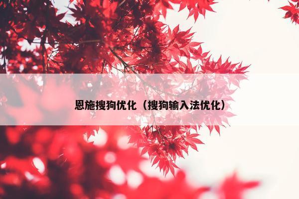 恩施搜狗优化（搜狗输入法优化）