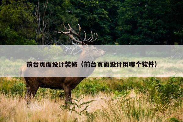 前台页面设计装修（前台页面设计用哪个软件）