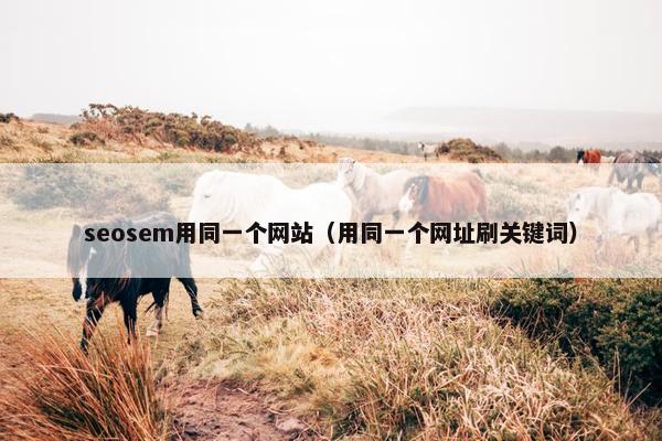 seosem用同一个网站（用同一个网址刷关键词）