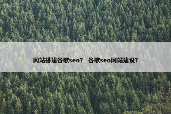 网站搭建谷歌seo？ 谷歌seo网站建设？