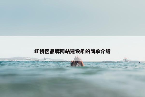 红桥区品牌网站建设象的简单介绍