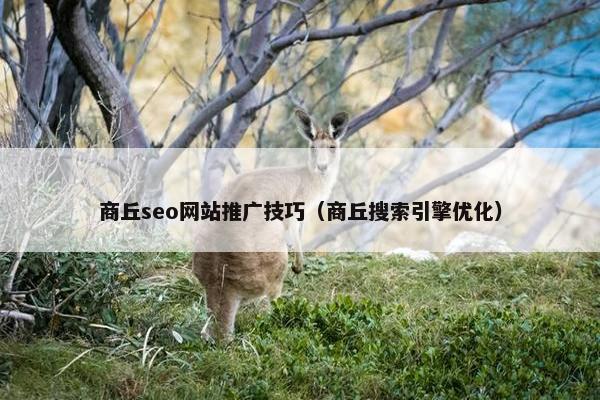 商丘seo网站推广技巧（商丘搜索引擎优化）