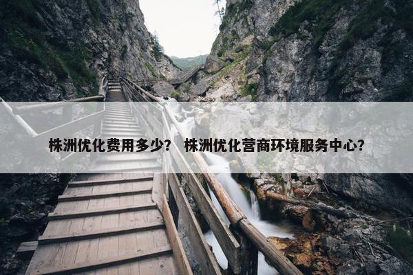 株洲优化费用多少？ 株洲优化营商环境服务中心？