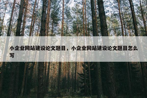 小企业网站建设论文题目，小企业网站建设论文题目怎么写
