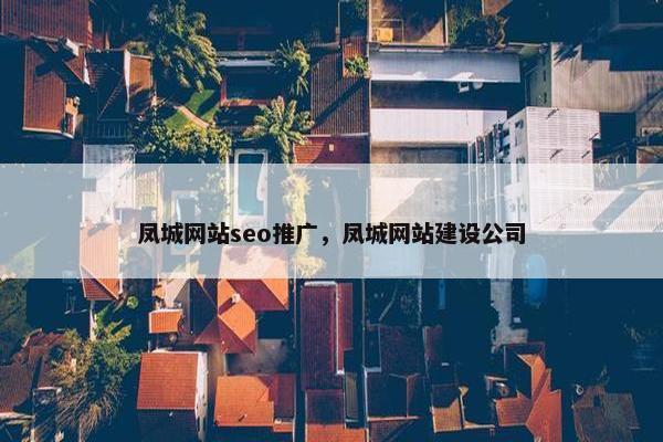 凤城网站seo推广，凤城网站建设公司