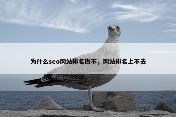 为什么seo网站排名做不，网站排名上不去