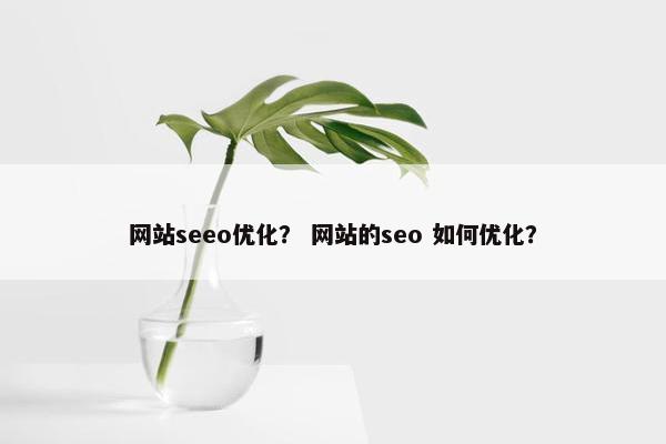 网站seeo优化？ 网站的seo 如何优化？