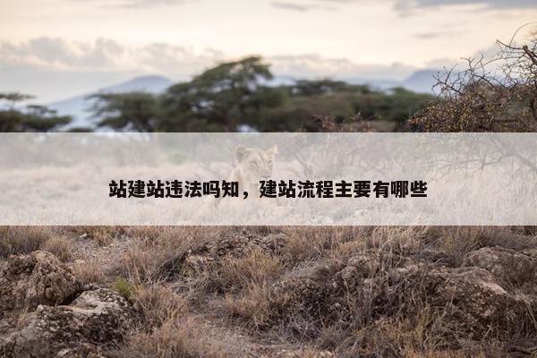 站建站违法吗知，建站流程主要有哪些
