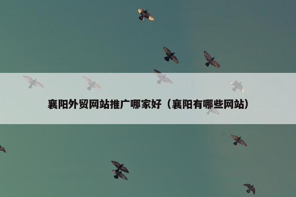襄阳外贸网站推广哪家好（襄阳有哪些网站）