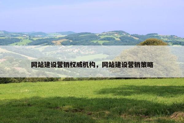 网站建设营销权威机构，网站建设营销策略