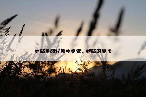 建站星教程新手步骤，建站的步骤