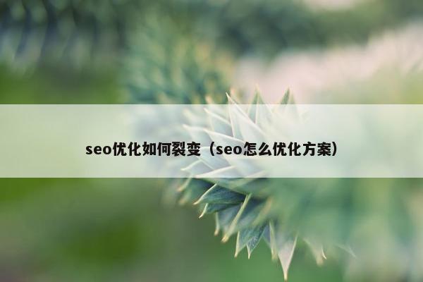 seo优化如何裂变（seo怎么优化方案）