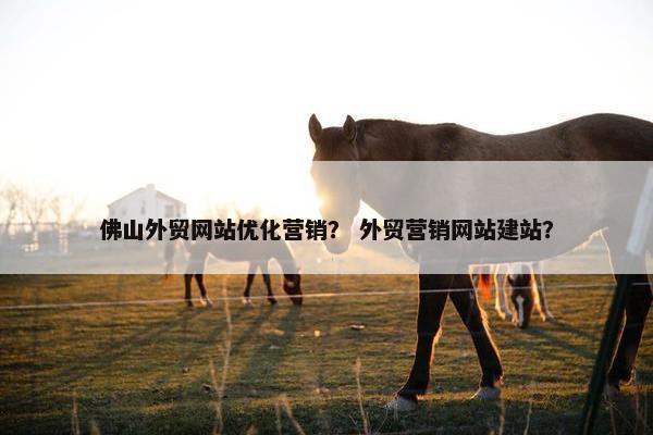 佛山外贸网站优化营销？ 外贸营销网站建站？