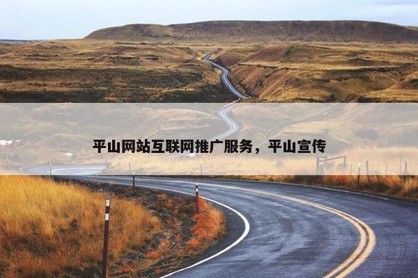 平山网站互联网推广服务，平山宣传