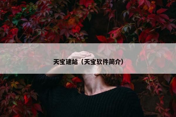 天宝建站（天宝软件简介）