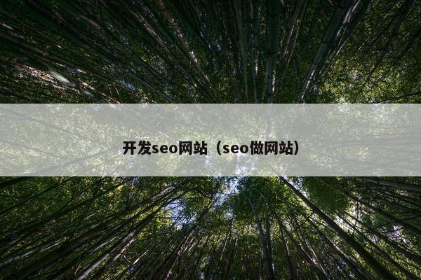 开发seo网站（seo做网站）