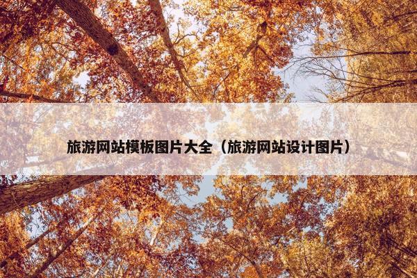 旅游网站模板图片大全（旅游网站设计图片）
