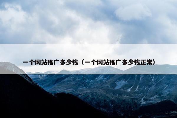 一个网站推广多少钱（一个网站推广多少钱正常）