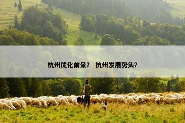 杭州优化前景？ 杭州发展势头？