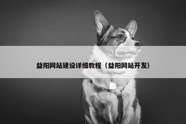 益阳网站建设详细教程（益阳网站开发）