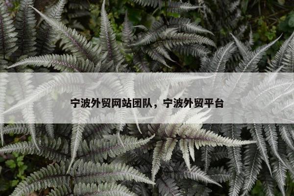 宁波外贸网站团队，宁波外贸平台