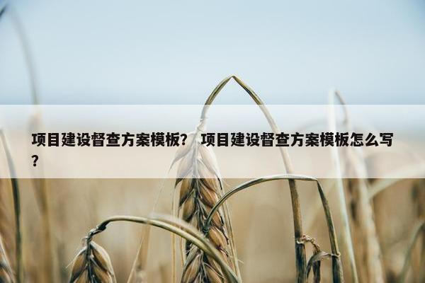 项目建设督查方案模板？ 项目建设督查方案模板怎么写？